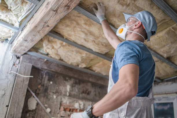 Best Specialized Insulation Services in Montegut, LA