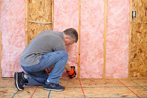 Best Spray Foam Insulation in Montegut, LA