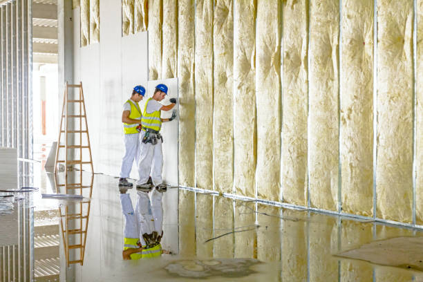 Best Cellulose Insulation in Montegut, LA